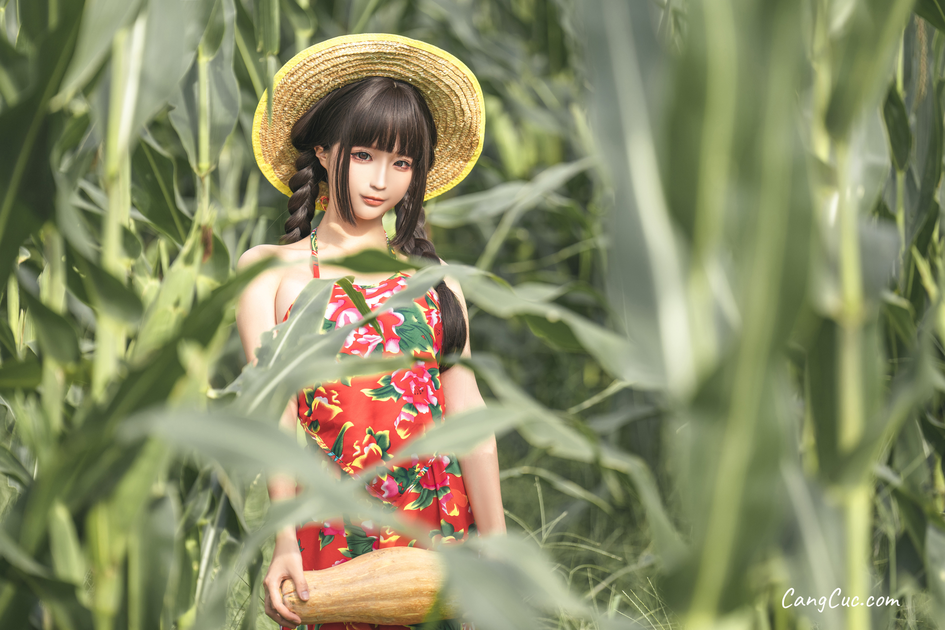 Coser@蠢沫沫 (chunmomo): The Story of Cornfield ảnh 7